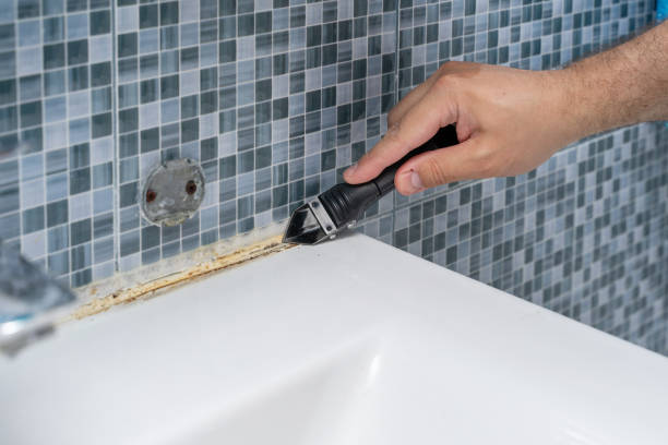 Best Emergency Mold Remediation in Columbus, OH